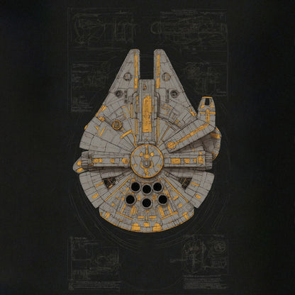 Falcon Top, Dark, Ship concept canvas .75"