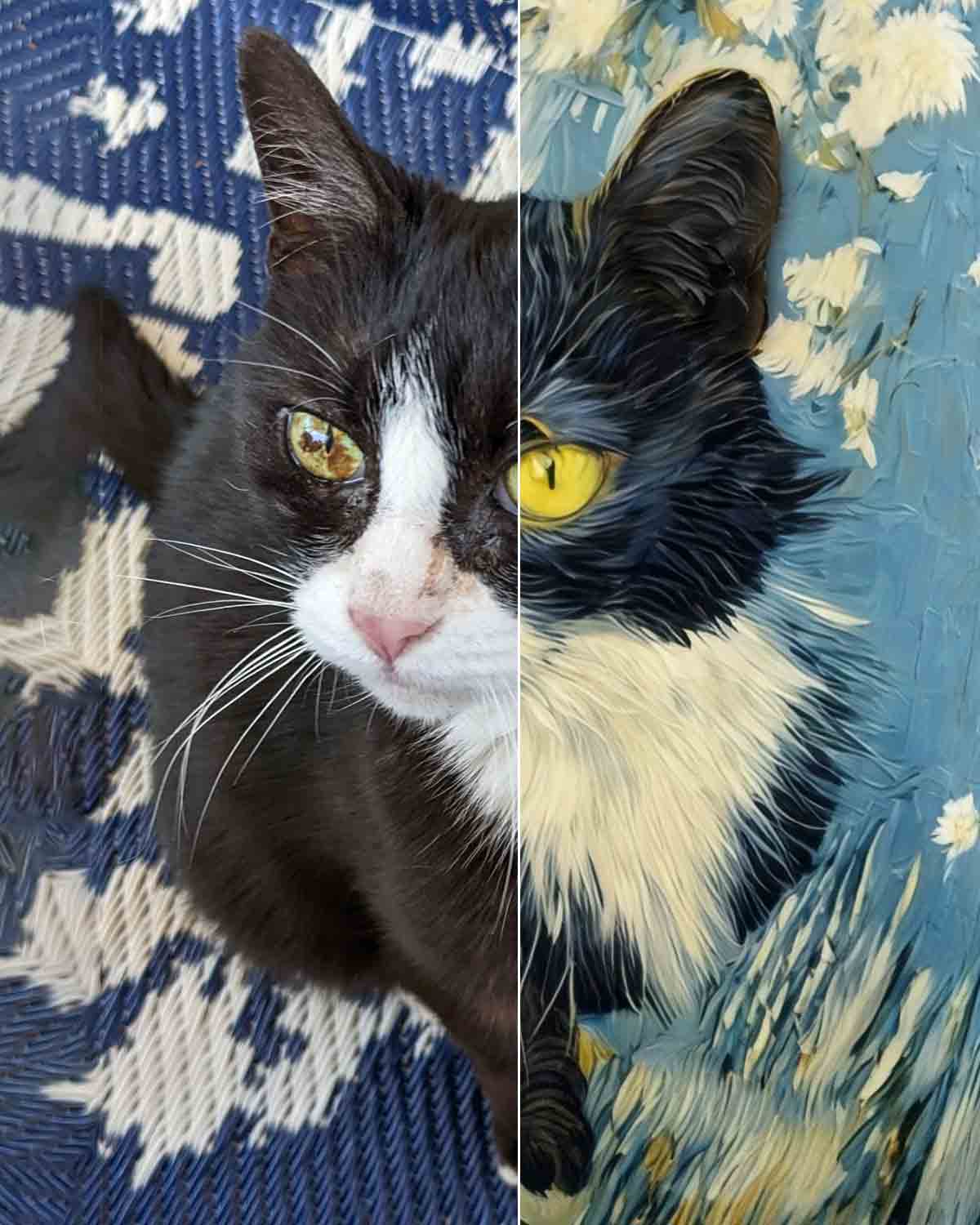 van Gogh Style Custom Pet Portrait